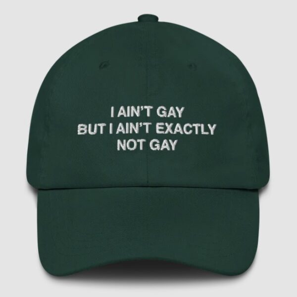 I Ain't Gay But I Ain't Exactly Not Gay Hat